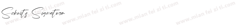 Schwitz Signature字体转换